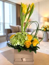 Elegancia en Gratitud 
