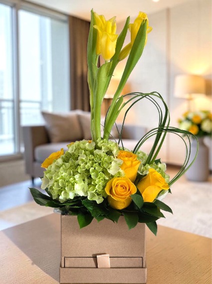 Elegancia en Gratitud 