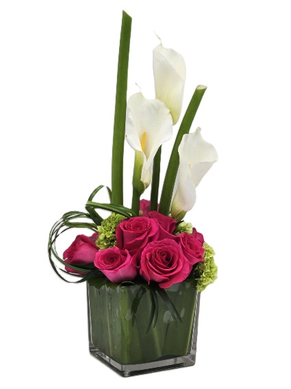 Elegancia Serena   Mothers Day 2026