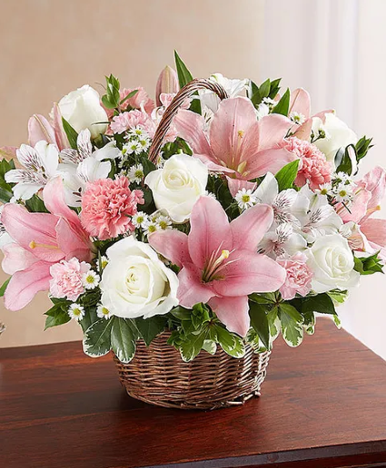 Elegant Beauty - 00168 