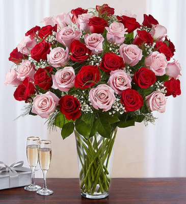 Elegant Beauty WOWZA WOWZA in Kirtland, OH | Kirtland Flower Barn