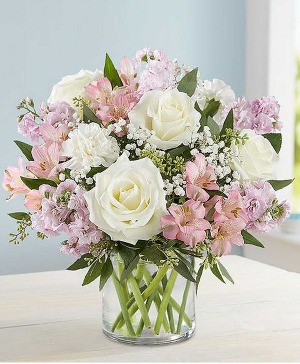 ELEGANT BLUSH 