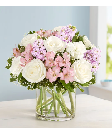 ELEGANT BLUSH 