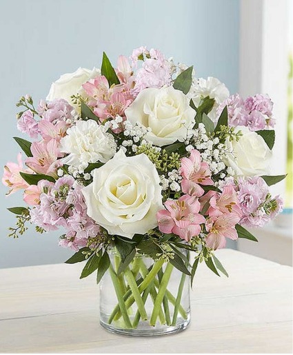 Elegant Blush  