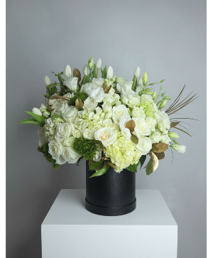 Elegant hat box assorted colors available