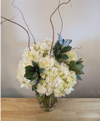 Elegant Hydrangeas  local delivery mesa   