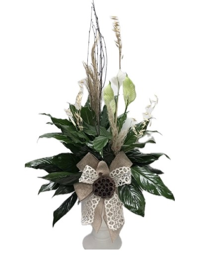 Elegant Peace Lily Plant