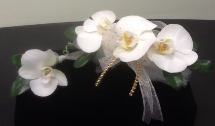 Elegant Phalaenopsis Orchid Wrist Corsage $70  and Boutonniere $15