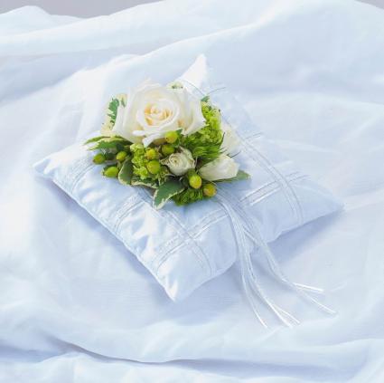 Elegant Pillow Insert 