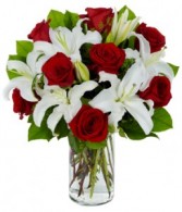 Elegant Romance 
