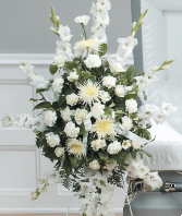 Elegant Tribute Funeral