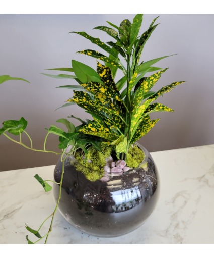 Elegant tropical planter 