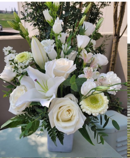 Elegant White's  