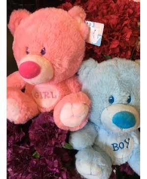 8 Inch Embroidered Plush Bears 