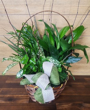 Emerald Dish Garden T&V Original