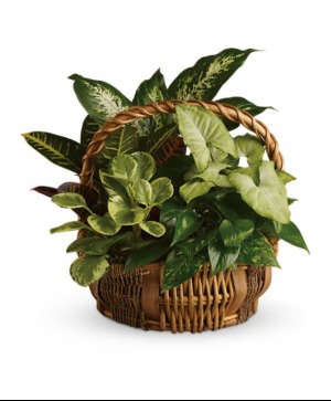 Emerald Garden Basket 