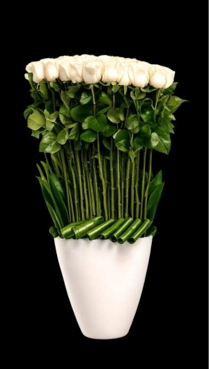 Emerald Garden Cone Mother's Day
