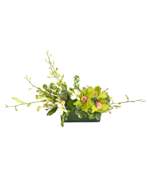 Emerald Orchid Whisper  Custom Arrangement