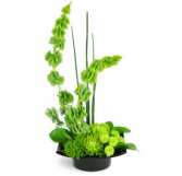 Emerald Tranquility Arrangement 