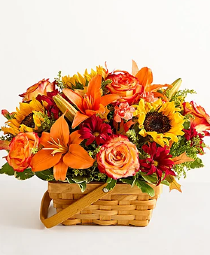 Enchanted Basket  
