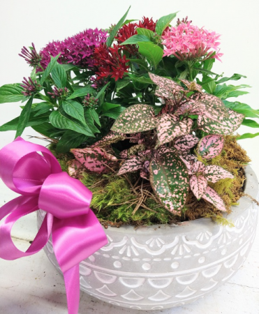 Enchanted Garden Arrangement 