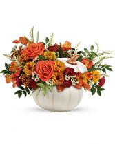 Enchanted Harvest ON SALE TODAY ONLY