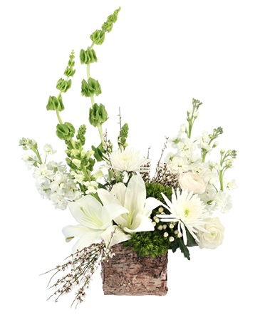 Enchanting Creams Floral Design  in Marmaduke, AR | Choco Taco Florist ***TEST SHOP****
