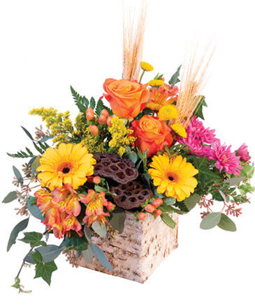Enchanting Harvest Floral Arrangement in Darien, CT | DARIEN FLOWERS
