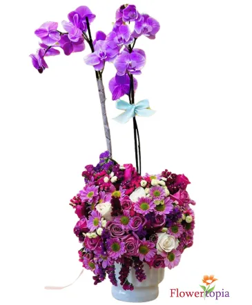 Enchanting Orchid Garden Orchid and Fresh-cut Flower Arrangement  in Miami, FL | FLOWERTOPIA