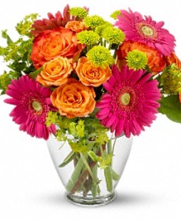 END OF THE RAINBOW  in Presque Isle, ME | COOK FLORIST, INC.