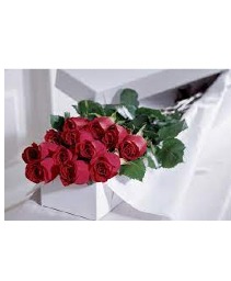 Endless Love One dozen long stem roses.