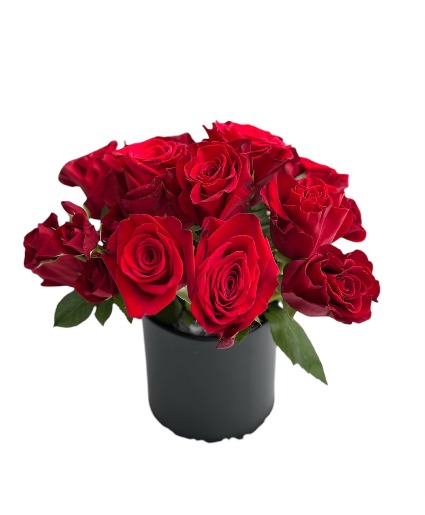 Endless Passion roses arrangement in the box