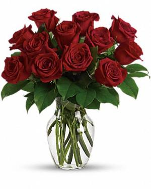 Enduring Passion-12 Red Roses 