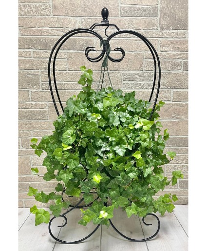 P* Ivy Plant Stand SHOP EXCLUSIVE in Fort Worth, TX - DAVIS FLORAL DESIGNS