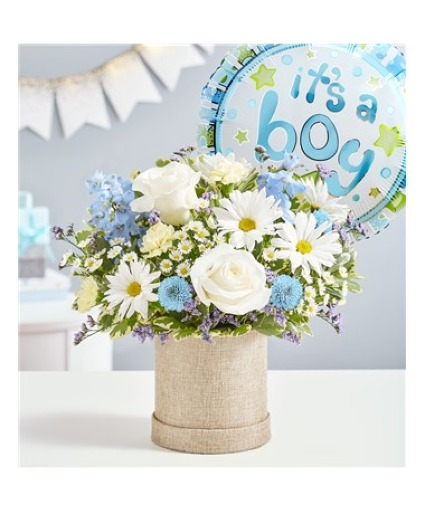 Enlarge Welcome Baby Boy 
