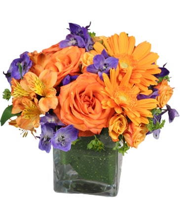 Enthusiasm Blossoms Bouquet in Hermann, MO | Terraflora Botanicals & Gifts