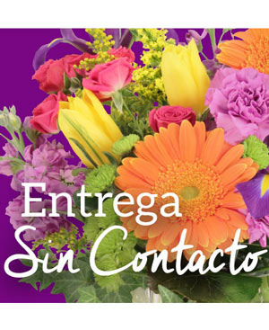 Entrega Sin Contacto Ramo de Elección de Diseñadores