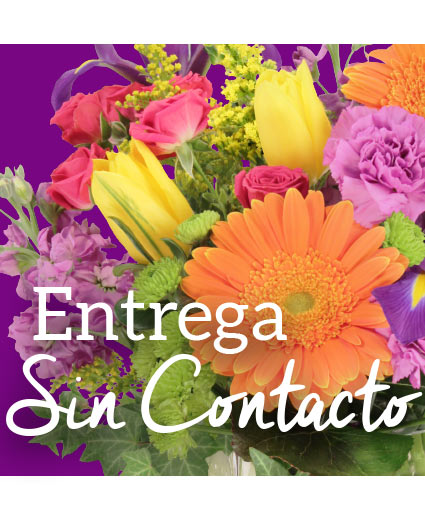 Entrega Sin Contacto Ramo de Elección de Diseñadores
