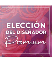 Envíe un Diseño Exquisito Elección Del Diseñador Premium
