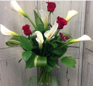 Erin's Elegance CFVEE135