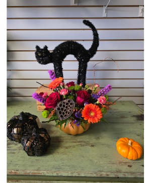 Errie Pumpkin 