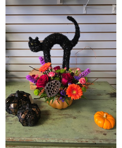 Errie Pumpkin 