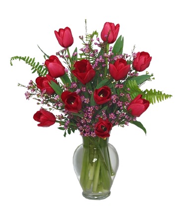 TULIPÁNES ROJOS Arreglo Floral in Albany, NY | Ambiance Florals & Events