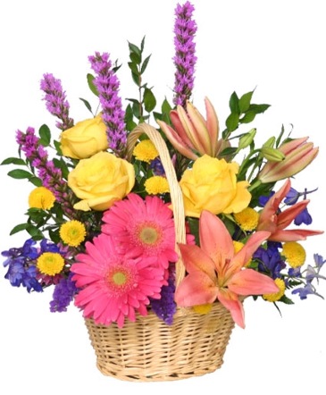 QUE TE MEJORES Canasta Floral in Albany, NY | Ambiance Florals & Events