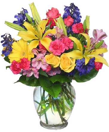 ARCO-IRIS Florero in Albany, NY | Ambiance Florals & Events