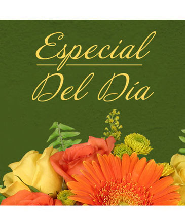 Especial Del Día Diseño Personalizado in Lake City, FL | LAKE CITY FLORIST