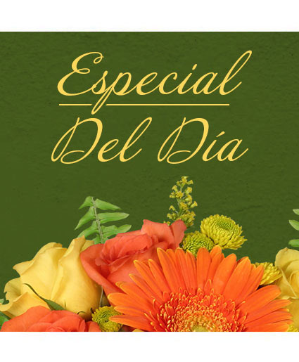 Especial Del Día Diseño Personalizado