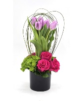 Espiral de Amor   Every Day