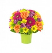 Essentials Brilliant Bouquet 