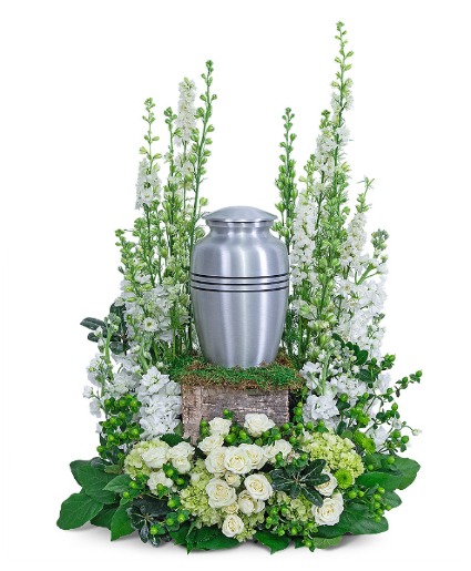 Eternal Peace Surround Sympathy